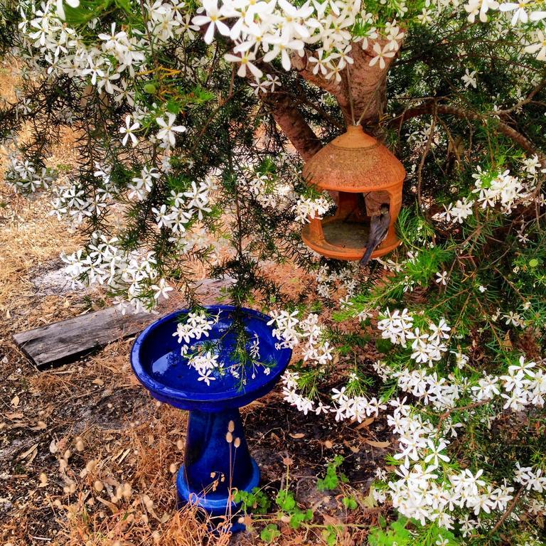 Wilderness House Bed & Breakfast Margaret River Bilik gambar